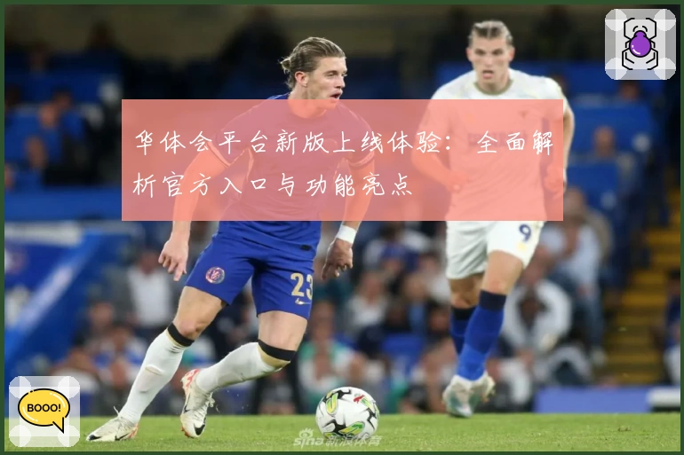 华体会平台新版上线体验：全面解析官方入口与功能亮点